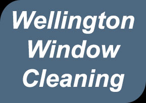 Wellington Window Cleaning logo